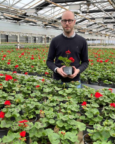 Eppu_pelargoni Eppu_pelargoni