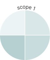 scope 1